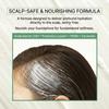 LABO-H Scalp Strengthening Clinic Mild Acidic Shampoo + Capsule Treatment + Roll-On Serum Set