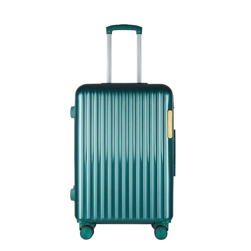 Stylish Lightweight Travel Suitcase