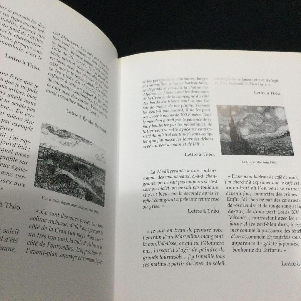 [USED] Van Gogh Art Collection with CD-ROM French Van Gogh Books