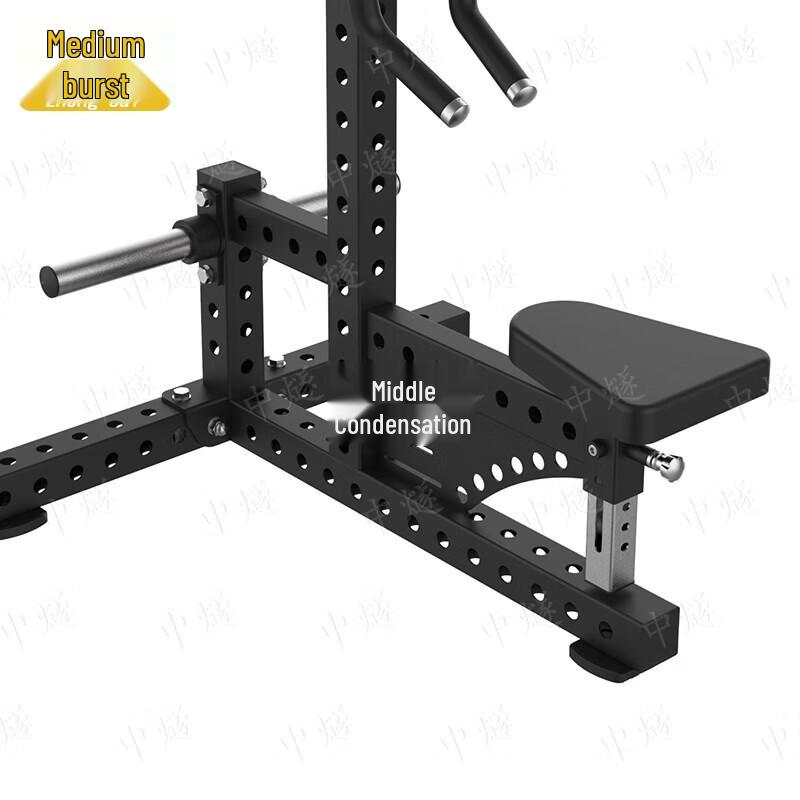 ZhongSui Seated Lateral Raise Machine
