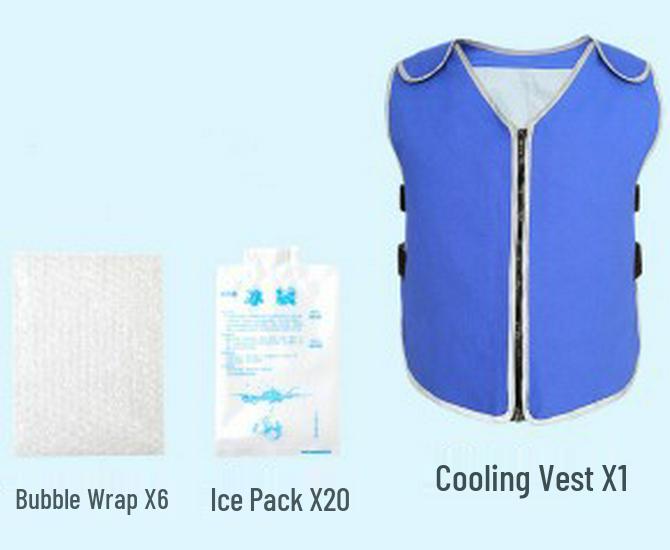 Kühlweste mit Eispack für Sommer-Hitzschlagprävention und Outdoor-Einsatz - Ideal für Baustellen mit hohen Temperaturen