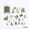 40pcs/bag Vintage Ginkgo Leaves Flowers PET Sticker Package DIY Diary Decoration Sticker Album Scrapbooking