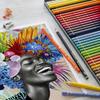 Polychromos Colored 60 110060 Japanese Faber-Castell Pencils, Colors, Tin, [Official Product]