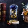 Galaxy Glass Rose Eternal Crystal Flower Birthday Gift Light Up Rose In Glass Dome with Butterfly for Mom Sister Mothers Day Gifts Holiday Gifts