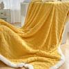 Lamb Wool Thick Winter Blanket Double Side Microfiber Flannel Throw Blanket for Bed Comfortable Super Soft Warm Comforter Double