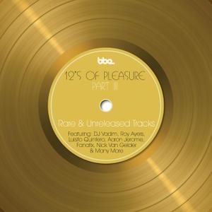

CD VARIOUS 12s Of Pleasure Part III Rare U BBE123CD BBE 2009 UK Dance Electronica Used