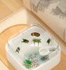 Acrylic Turtle Habitat with Sun Deck - Creative Eco-friendly Tank for Turtles & Fish