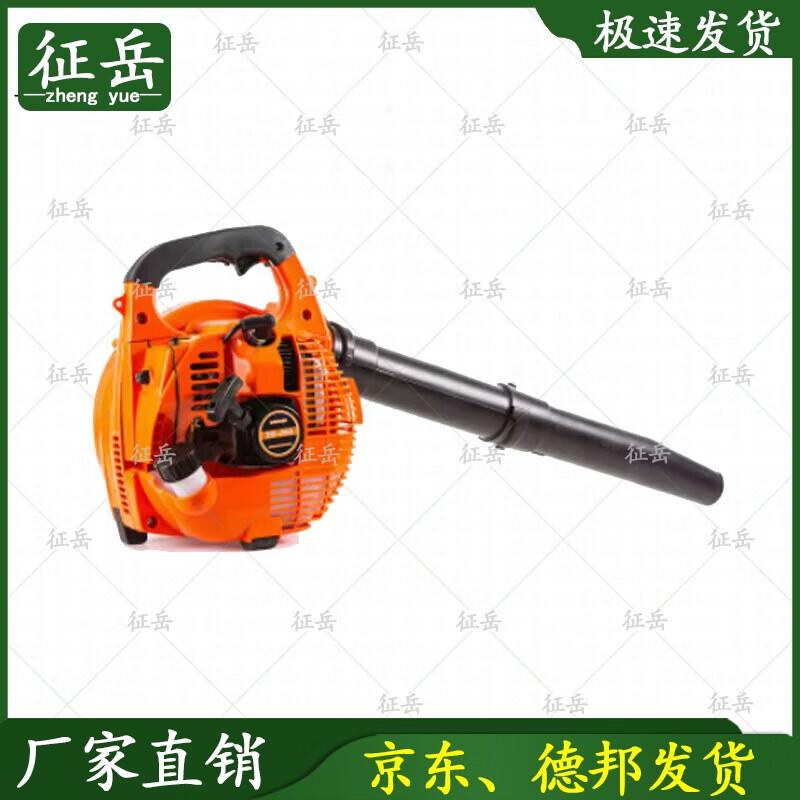 

Zhengyue Backpack Gasoline Blower & Fire Extinguisher