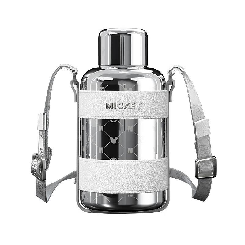 Gree Disney 316 Stainless Steel Smart Thermos