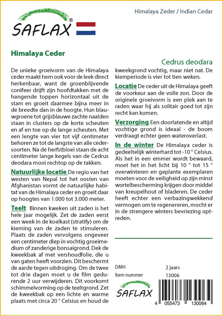 SAFLAX India seeder - 35 seemet - Cedrus deodara