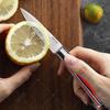 WXCOO 3.5inch Kitchen Knives Damascus Steel Fruit Paring Meat Cleaver Cutting Knife for Fruit Vegetable Utility Knife