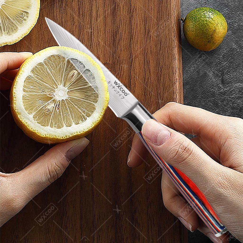 WXCOO 3.5inch Kitchen Knives Damascus Steel Fruit Paring Meat Cleaver Cutting Knife for Fruit Vegetable Utility Knife