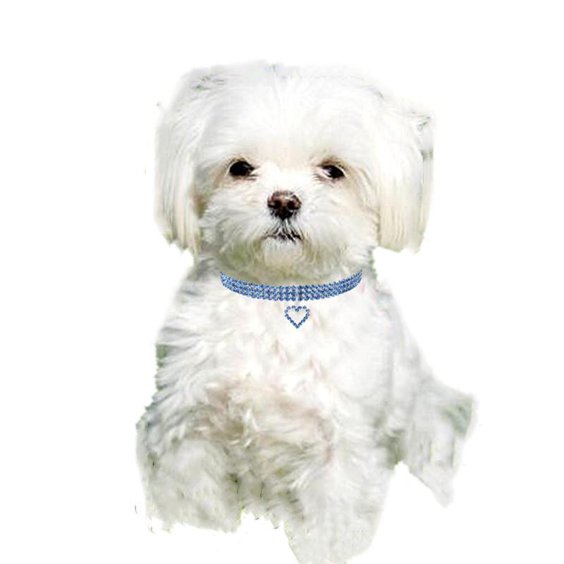 Elastic Heart Pet Collar - Cat & Dog Accessories
