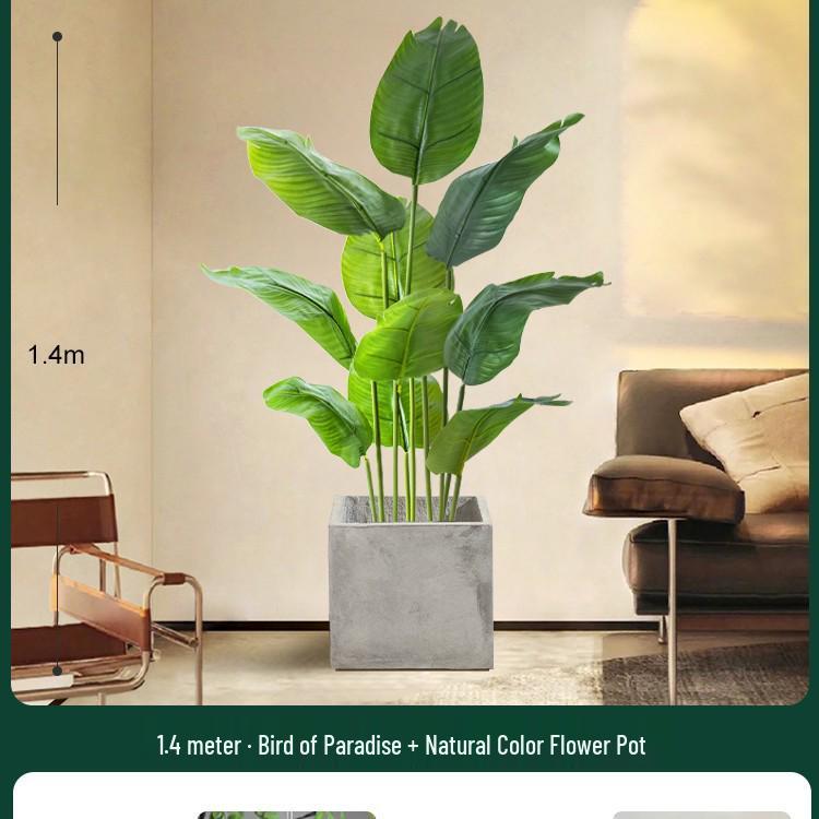 High-End Indoor Bird of Paradise Decor: Luxury Potted Traveler's Palm