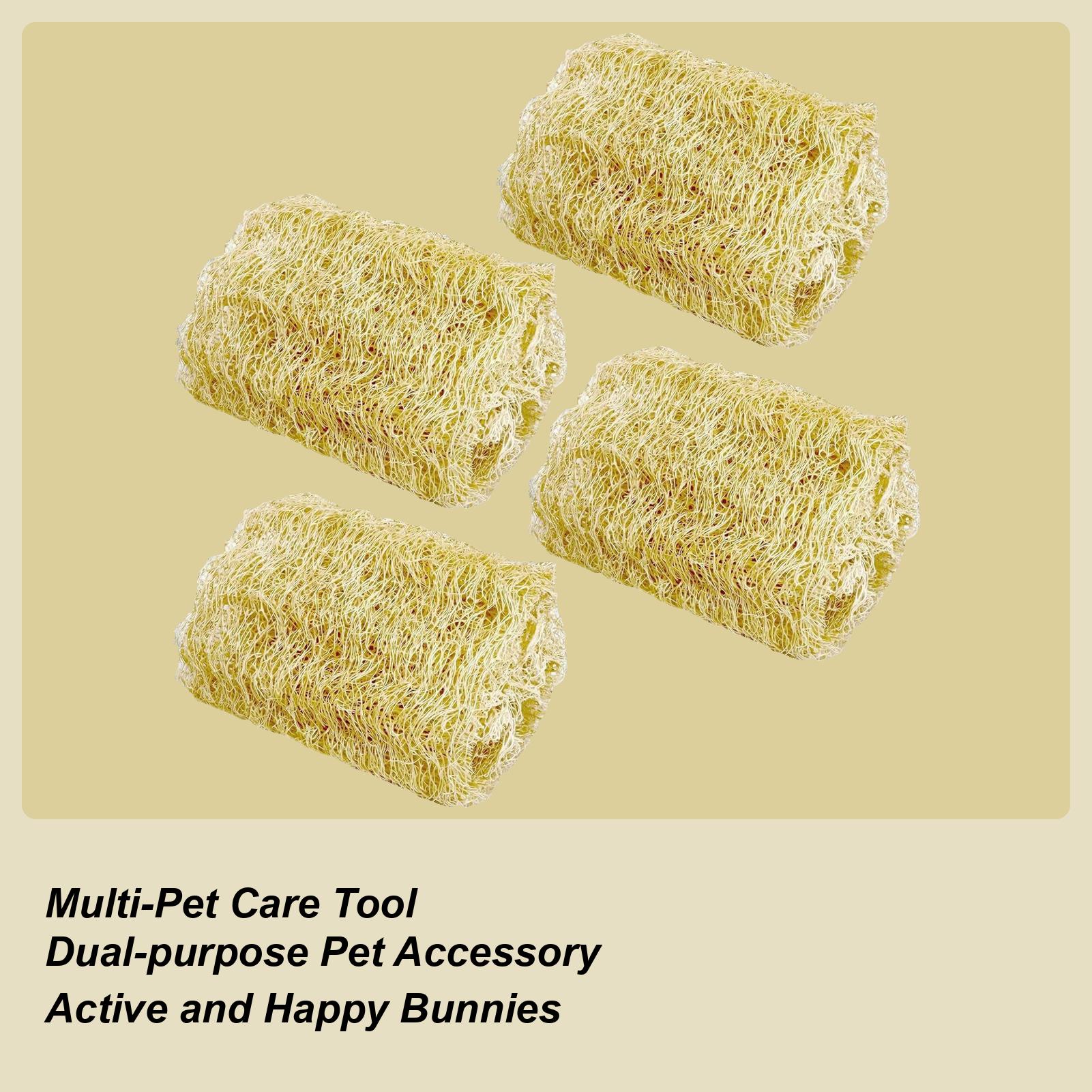 

Bunny Chew Toys For Teeth 4 Pieces Loofah Bunny Playing Supplies Gerbil Boredom Toys For Pet Parents Shelters Shops Cats Dogs China Mainland