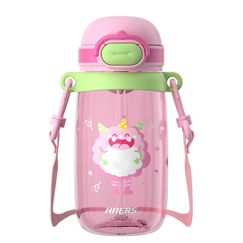 HAERS Portable Straw Water Bottle 500mL