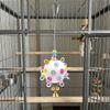 Detachable Bird Cage Toy with Bell Parrots Chew Swing Funny Hanging Foraging Ball  Beak Exercise