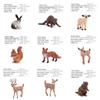 Animal Beaver Fox Deer Model Set With Pvc Material For Educational Display And Collectors