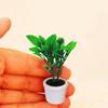 3Pcs 1/12 Green Plant In White Pot Miniature Dollhouse Garden Accessories