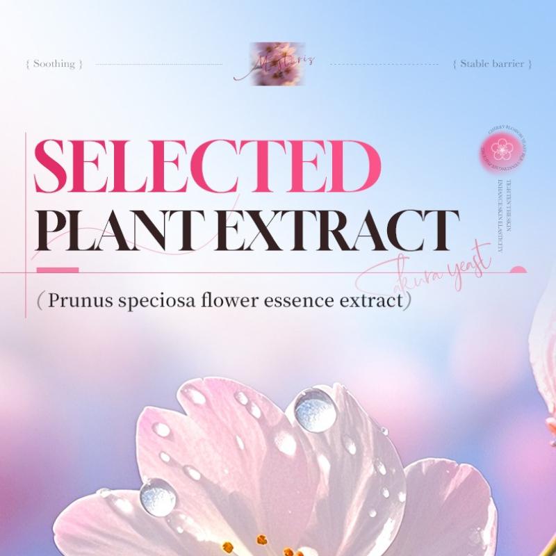 Serum 40ml Sakura Hefe Verjüngendes Feuchtigkeitsserum, Hautpflegeprodukte