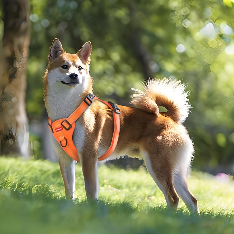 Adjustable Soft Padded Harness with Easy Control Handle Prevents Choking Pulling Comfortable No-Pulling Pet Harness for Dogs