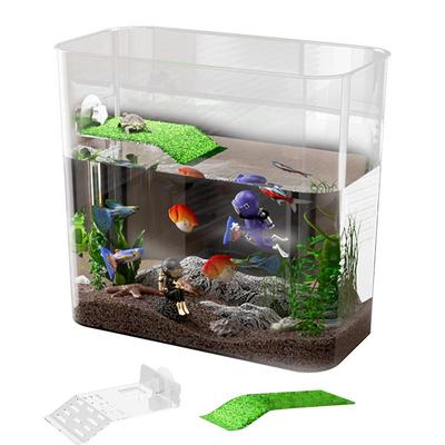 Schildkrötentank Klar Schreibtisch-Aquarium Schildkrötenbecken Anfänger Zierfischschale Multifunktionsbereiche Kleines Aquarium Aquarium