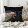 Singer PPerfume Genius Glory Pillow Case Bedroom Sofa Living Room Backrest Decoration Square Cushion Nap Time