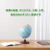 Raymay Fujii Globe with Talking Flags, Standard, 20cm Diameter, OYV46
