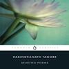 Selected Poems by Rabindranath Tagore Paperback Book 9780140449884