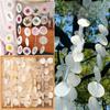 Round DIY Shell Wind Chimes Natural White Shell Pendants New Shell Ornaments  Wedding Decor