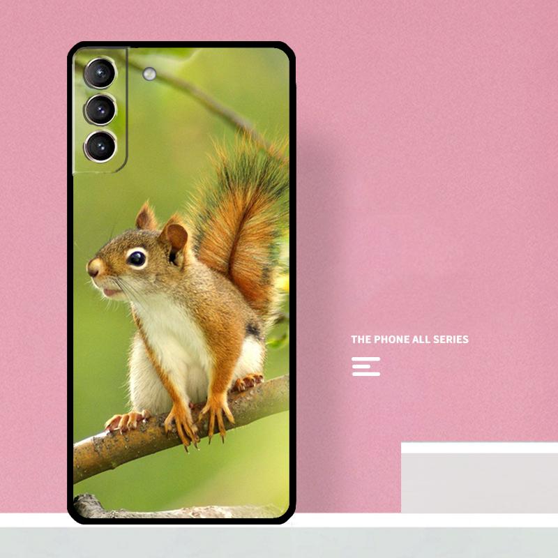 Squirrel Phone Case For Samsung Galaxy S25 S26 Ultra S20 S21 S22 S23 S24 Plus S10 S25 FE Cover Coque