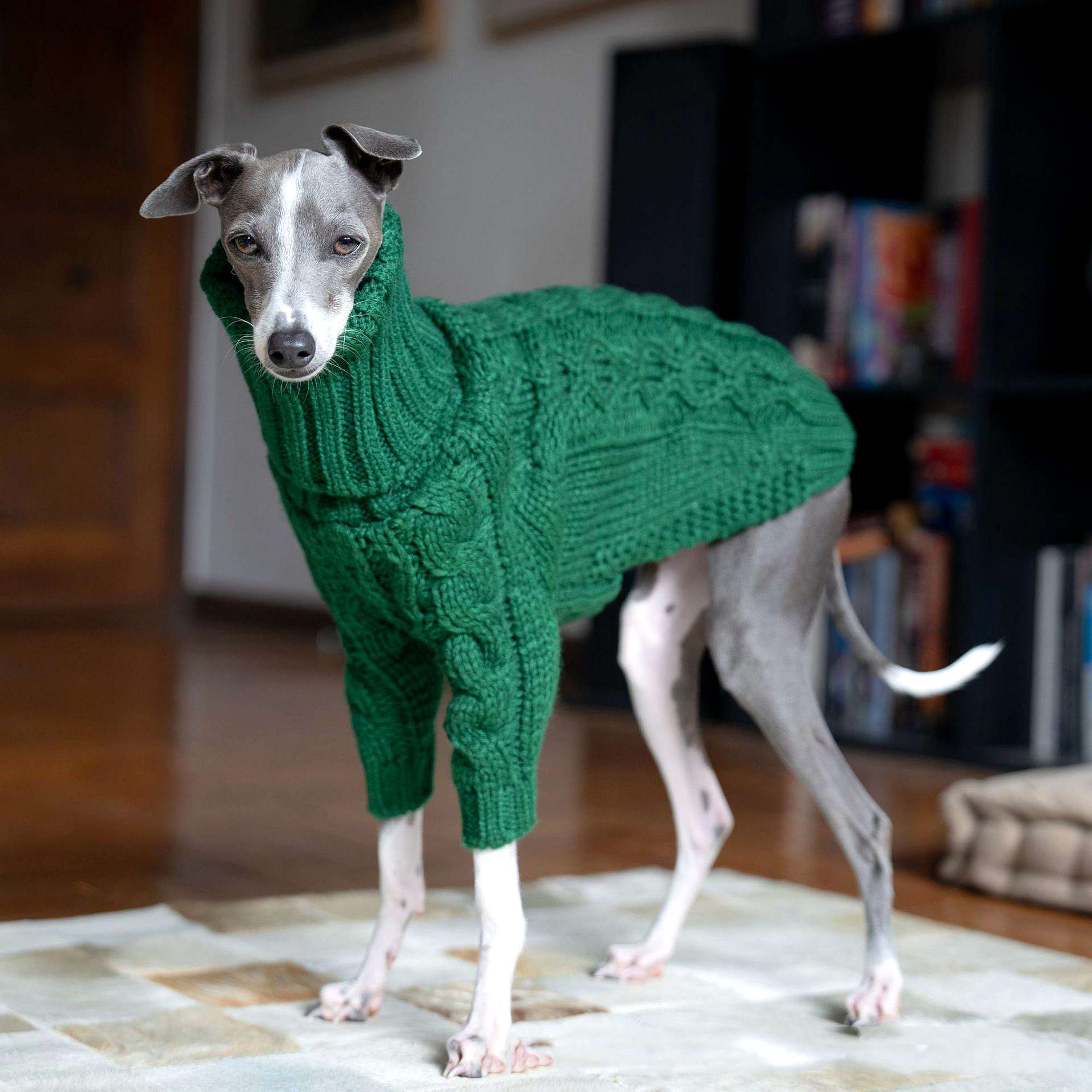 

Christmas Green Dog Sweater Autumn Turtleneck Thickened Pet Sweater Italian Greyhound Whippet Two-legged Knitted Dog Clothes S