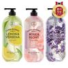 ON THE BODY Super Botanical Body Wash 900g X 3, Choose 1 of 3 Types_667218