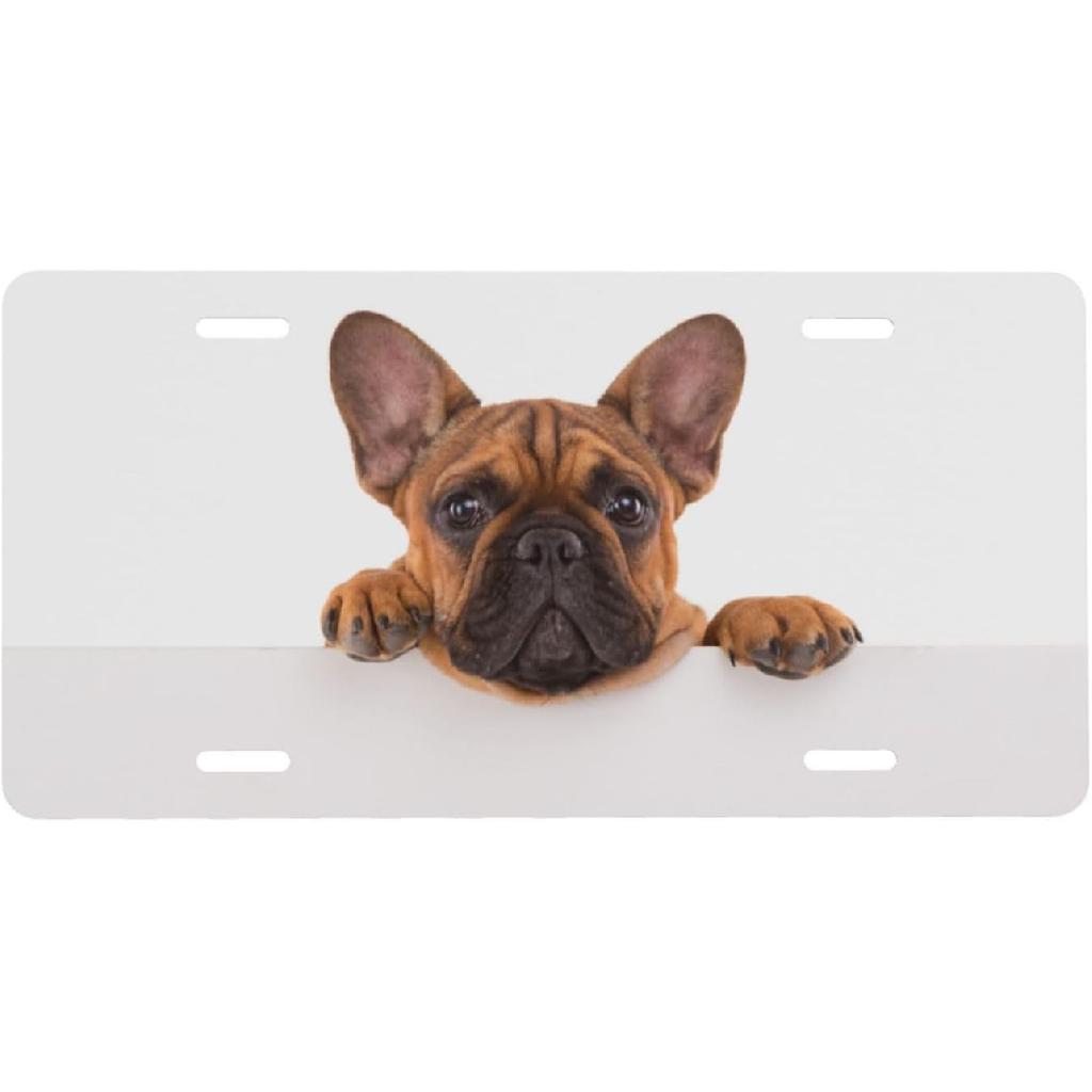 Flower Floral Front License Plate for Women Car Vanity Plates Decorative Aluminum Metal Cute Novelty License Plate Cover for Men 6x12 Inch (4 Holes)