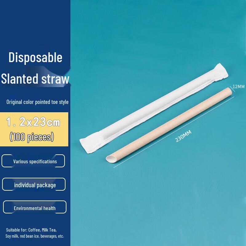 Homeglen Disposable Eco-Friendly Paper Straws