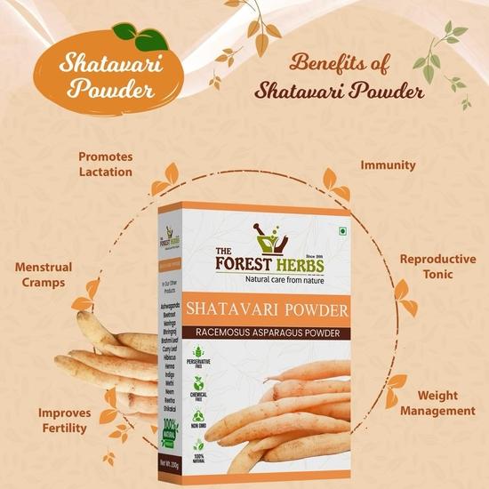 The Forest Herbs Natural Care From Nature Shatavari Powder 100g | Ayurvedic Support To Balance Women's Hormones | Herbal Supplement - 100g