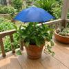 Weatherproof Plant Shade Umbrella Detachable Garden Umbrella Shade  Flower Beds