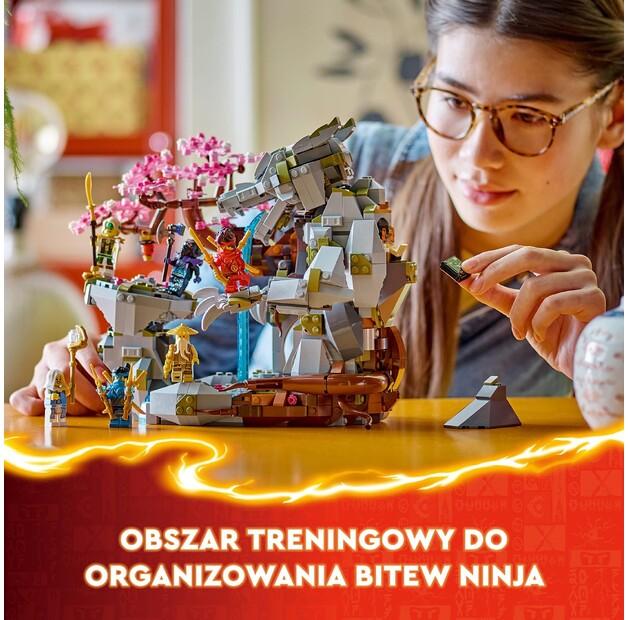 LEGO Ninjago 71819 Chrám Dračieho kameňa