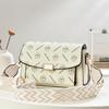 Texture temperament shoulder bag new printed versatile messenger bag commuter casual women's bag