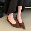 Fashion Female Slip On Footwear Women Low Heel Pumps Shoes Pointed Toe Fashion Shallow Ladies Thin Heel Shoes 2025 New