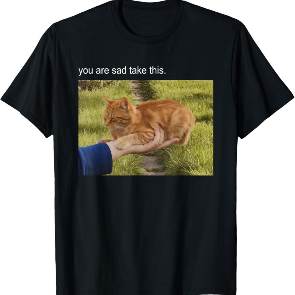 Cat Meme Tshirt Silly Cat Funny Kitty Meow Hiss Kitten T-Shirt for Men Women Kids(1)