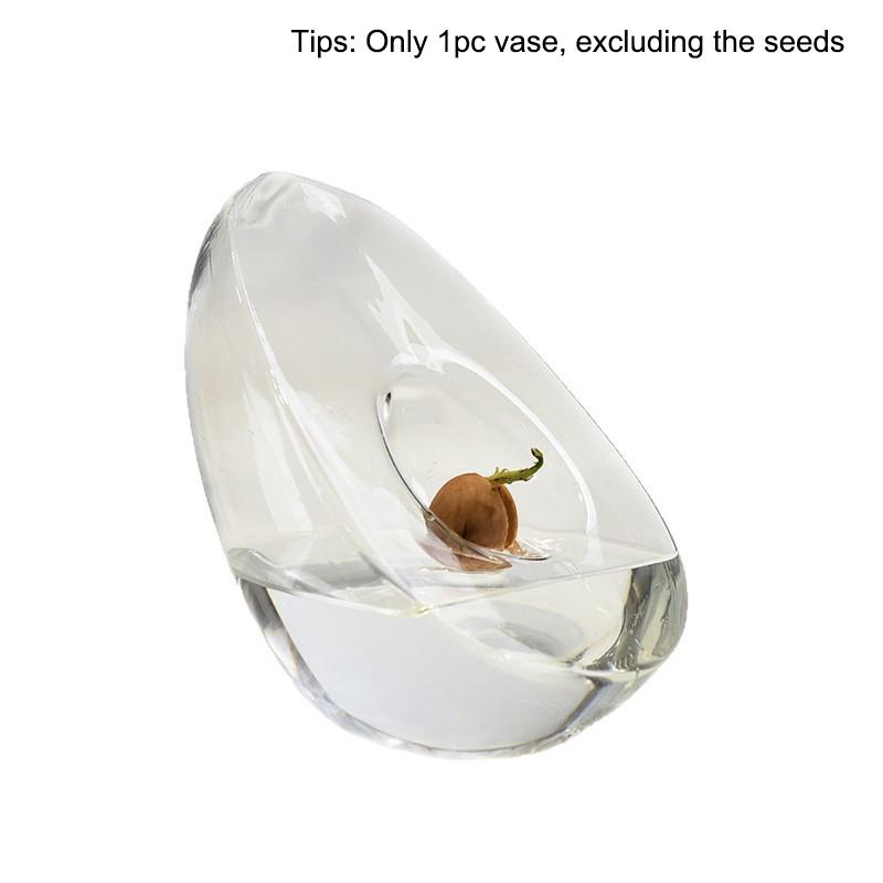 Avocado Seed Starter Vase Transparent Avocado-Shaped Plant Growth Glass Hydroponic Vase Seed Growing Kit For Gardening Lovers