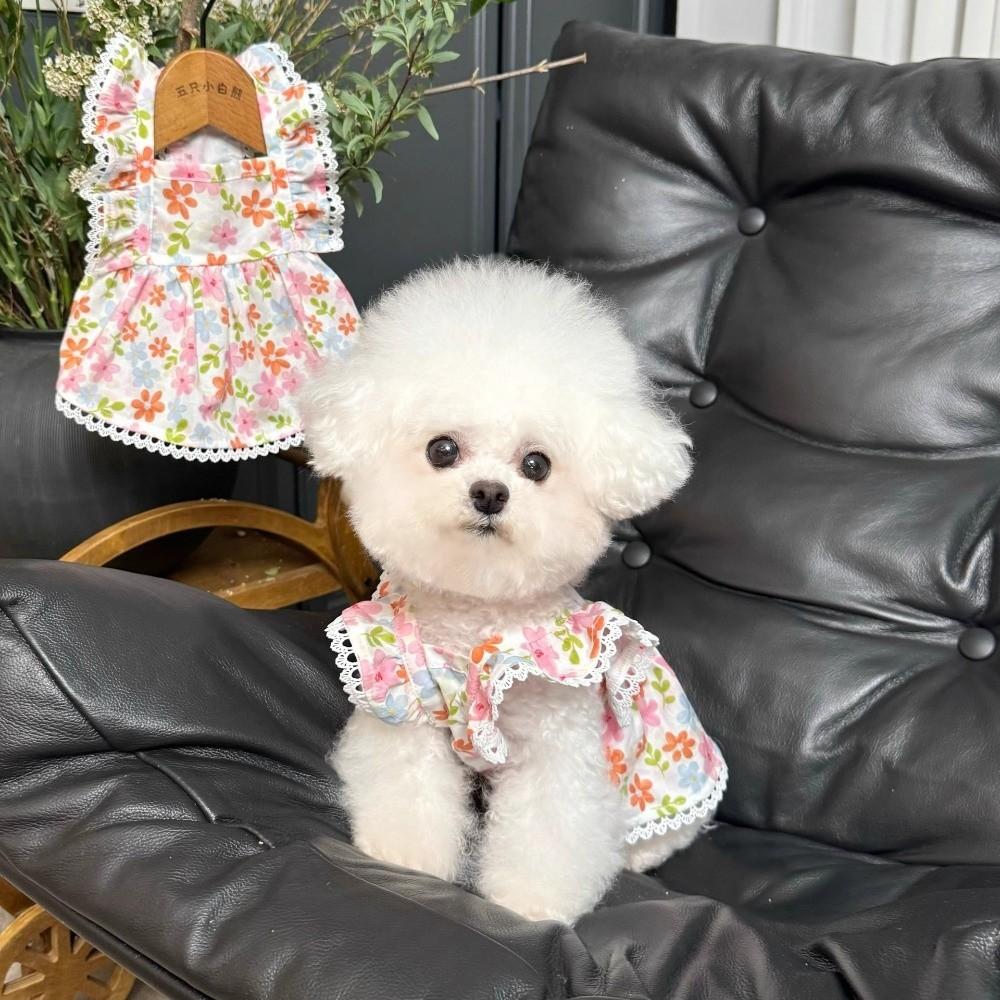 Summer Puppy Skirt Floral Print Corgi Teddy Clothes New Cat Dog Skirt  for Small Dog