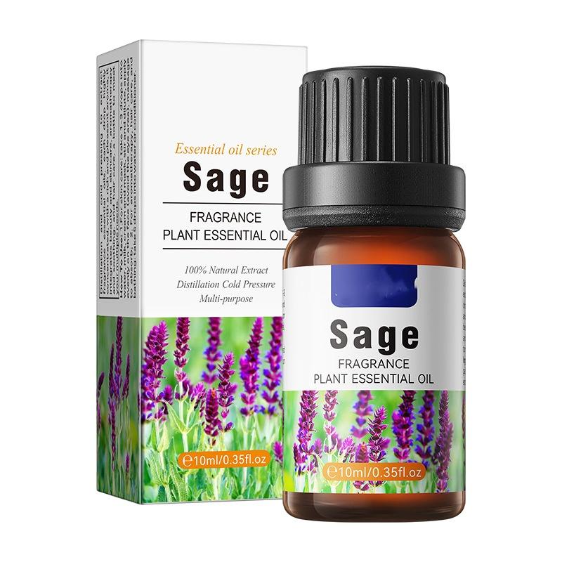 Plant Essential Oil Set 10ml Each Natural Fragrance Therapy Aromatherapy Body Oil Spa Massage Gift Set Export Wholesale
