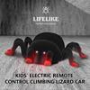Cross-Border New Wall Climbing Car Simulation Wall Climbing Spider Special Effect Car Halloween Toy Gift Hot Selling Factory Direct