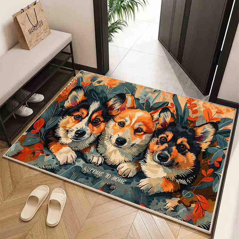 Mata podłogowa do domu w stylu amerykańskim Mata wejściowa do zdrapywania błota i brudu Odporna na zabrudzenia Mata podłogowa z kryształowego aksamitu Do użytku domowego Łatwa w pielęgnacji mata podłogowa