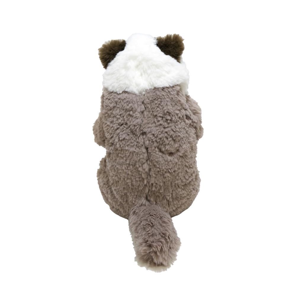 Sun Lemon Sleeping Lap Small Ragdoll 15 X 12 X Plush Cute Cat, GYBR, 34cm, Animal, Cat, P-1583