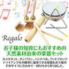 Regalo Educational Percussion Instrument Set, Kids' Toy, Wooden Percussion Instruments, Gift, Kids Toy, Tambourine, Triangle, Castanets, Wood Block, H