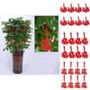 8pcs Chinese New Year Cny Outdoor Red Decor Festival Bonsai Money Tree Pendant For Festive Celebrations