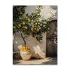 Italian Lemon Orange Olive Tree Retro Mediterranean Greece Landscape Poster Canvas Painting Wall Art Pictures Home Decoration
